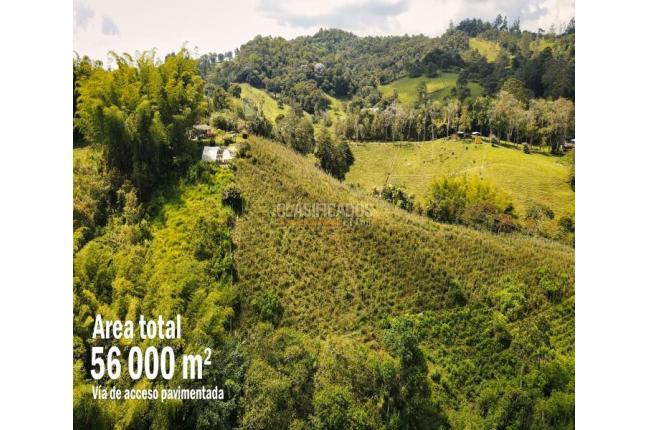 Lotes, Venta, Calima (Darién) - $350.000.000