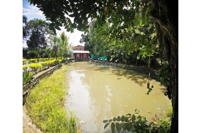 Fincas y Casas Campestres, Venta, Ginebra - $600.000.000