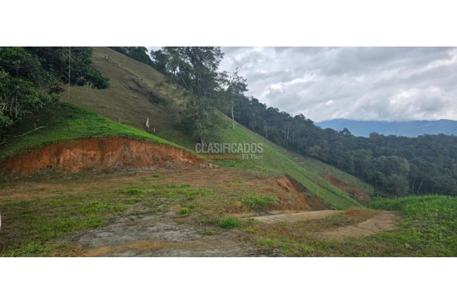 Lotes, Venta, Dagua - $420.000.000