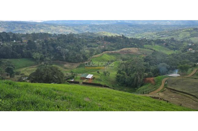 Lotes, Venta, Dagua - $420.000.000