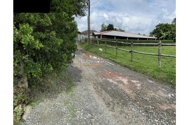 Lotes, Venta, El Cerrito - $450.000.000