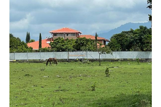 Lotes, Venta, El Cerrito - $450.000.000