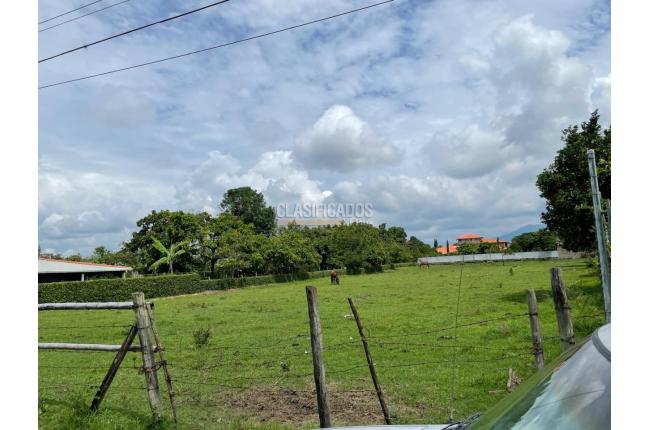 Lotes, Venta, El Cerrito - $450.000.000