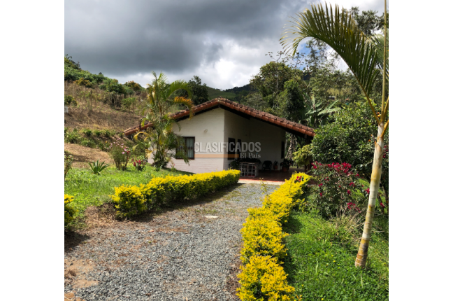 Fincas y Casas Campestres, Venta, Restrepo - $1.149.000.000