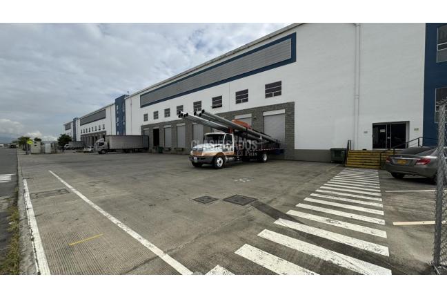 Locales y Bodegas, Alquiler en Palmira