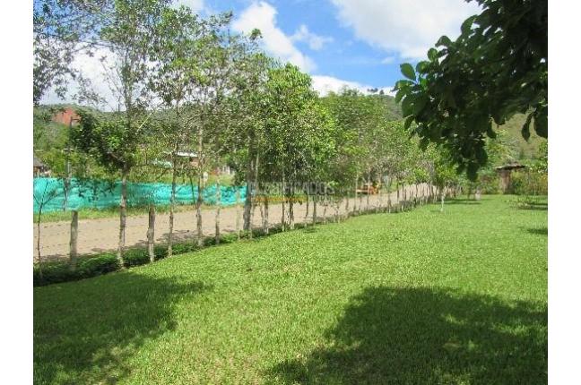 Lotes, Venta, Dagua - $170.000.000