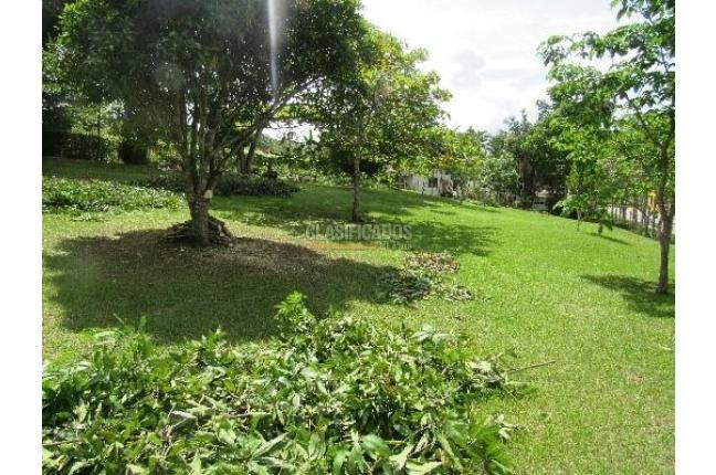 Lotes, Venta, Dagua - $170.000.000