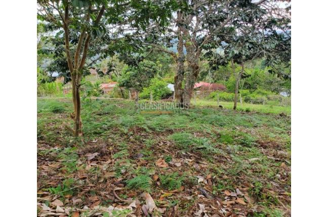 Lotes, Venta, La Cumbre - $135.000.000