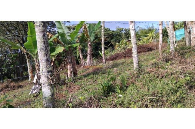 Lotes, Venta, La Cumbre - $130.000.000