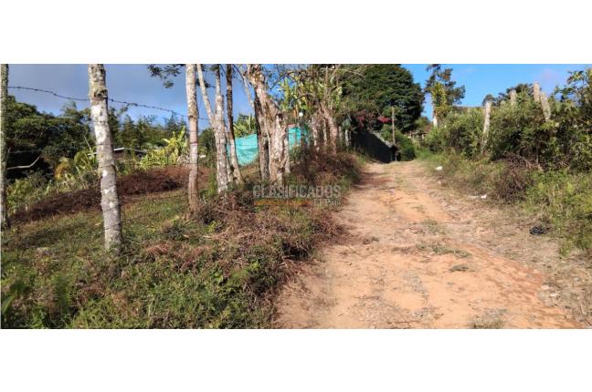 Lotes, Venta, La Cumbre - $130.000.000