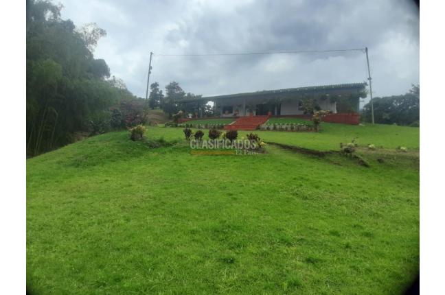 Fincas y Casas Campestres, Venta, La Cumbre - $1.100.000.000