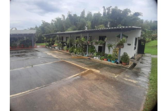 Fincas y Casas Campestres, Venta, La Cumbre - $1.100.000.000
