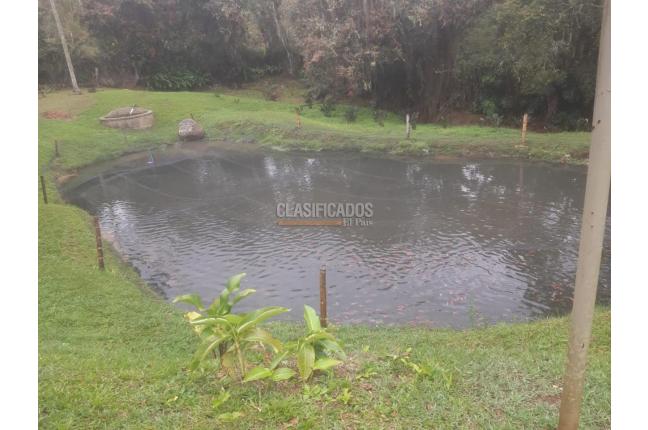 Fincas y Casas Campestres, Venta, La Cumbre - $1.100.000.000