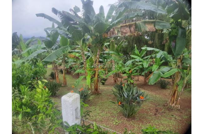 Fincas y Casas Campestres, Venta, La Cumbre - $1.100.000.000