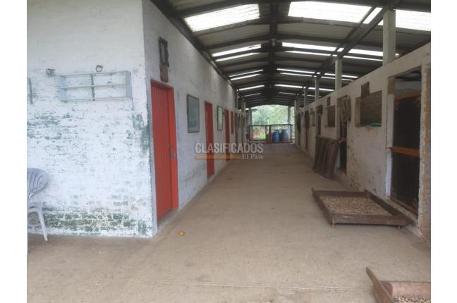 Fincas y Casas Campestres, Venta, La Cumbre - $960.000.000