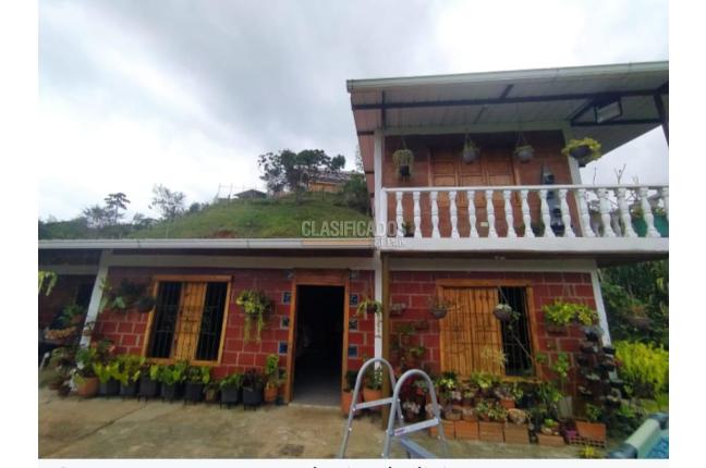 Fincas y Casas Campestres, Venta, La Cumbre - $600.000.000
