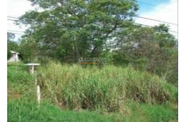 Lotes, Venta, Aguacatal - $320.000.000