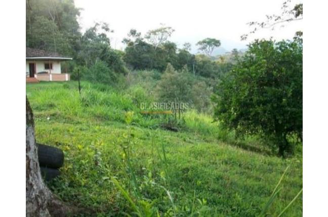 Fincas y Casas Campestres, Venta en La Buitrera