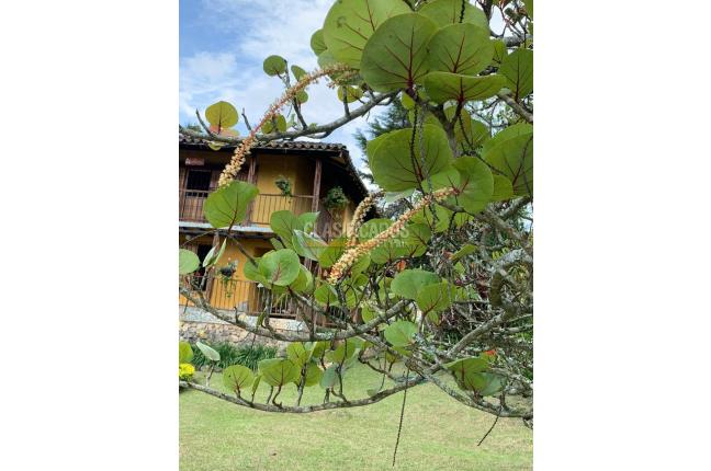 Fincas y Casas Campestres, Venta, Restrepo - $1.300.000.000