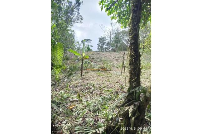 Lotes, Venta en Yumbo