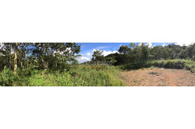 Lotes, Venta en Yumbo