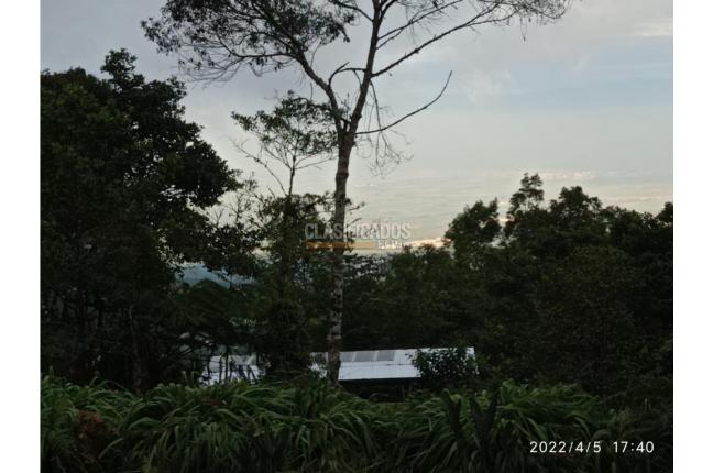 Lotes, Venta, Yumbo - $285.000.000