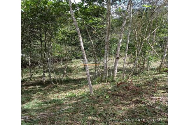 Lotes, Venta, Yumbo - $285.000.000