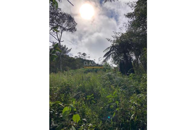 Lotes, Venta, Yumbo - $285.000.000