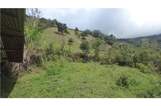Fincas y Casas Campestres, Venta, Restrepo - $480.000.000