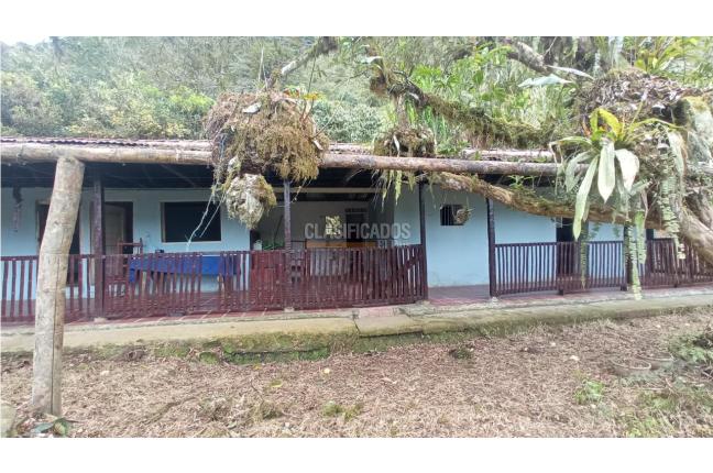 Fincas y Casas Campestres, Venta, Restrepo - $480.000.000