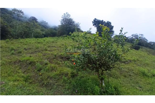 Fincas y Casas Campestres, Venta, Restrepo - $480.000.000