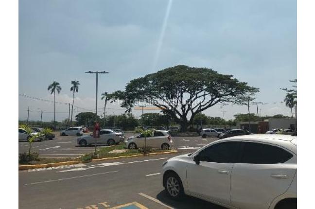 Apartamentos, Venta, Valle del Lili - $275.000.000