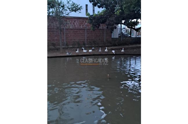 Lotes, Venta, Jamundí - $190.000.000