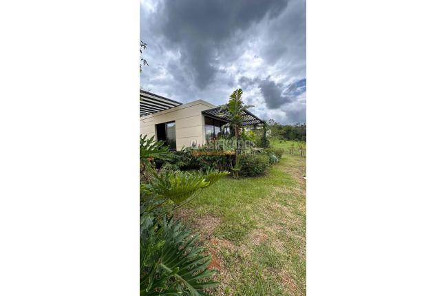 Casas, Venta, Palmira - $1.200.000.000