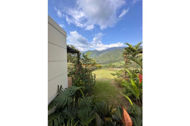 Casas, Venta, Palmira - $1.200.000.000