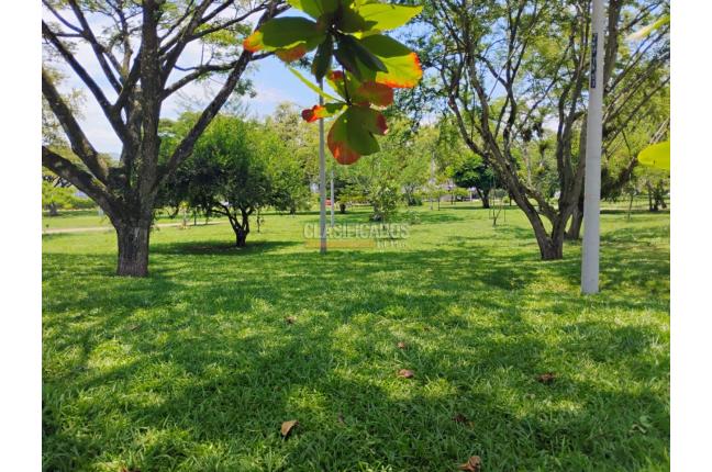 Apartamentos, Venta, Ciudad Pacifica - $224.999.000