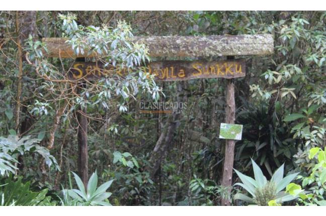 Edificios, Venta, Dapa - $2.300.000.000