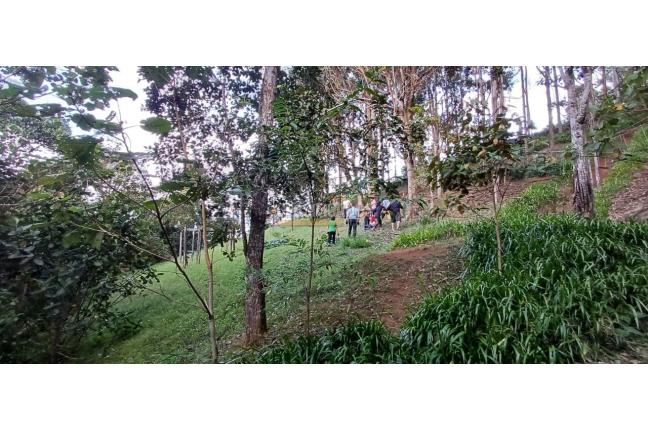 Edificios, Venta, Dapa - $2.300.000.000