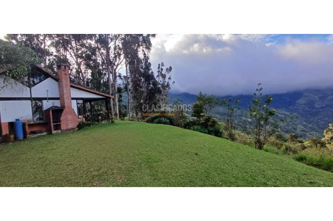 Edificios, Venta, Dapa - $2.300.000.000