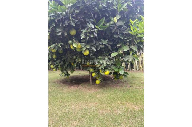 Casas, Venta, Pance - $2.200.000.000