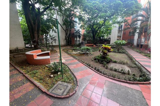 Apartamentos, Venta, Pacará - $255.000.000