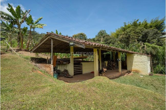 Fincas y Casas Campestres, Alquiler, Dagua - $1.500.000