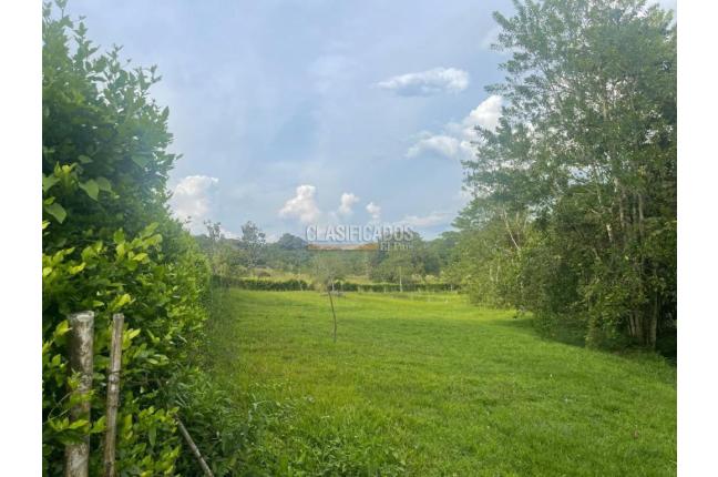 Lotes, Venta, Viterbo - $290.000.000