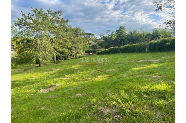 Lotes, Venta, Viterbo - $290.000.000