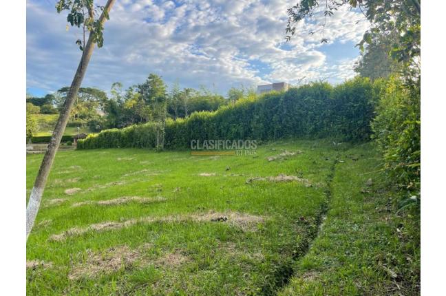 Lotes, Venta, Viterbo - $290.000.000