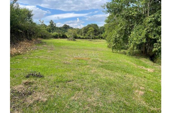 Lotes, Venta, Viterbo - $290.000.000