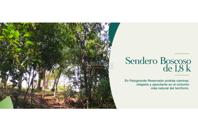 Lotes, Venta, Pance - $2.646.000.000