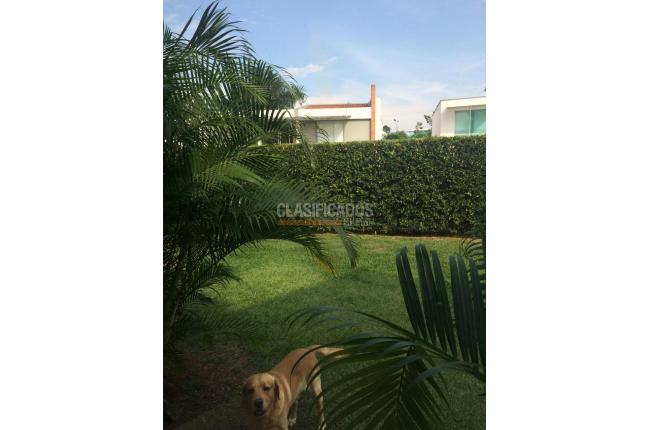 Casas, Alquiler en Ciudad Jardín