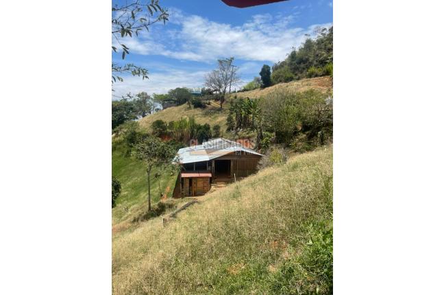 Fincas y Casas Campestres, Venta, La Elvira - $550.000.000