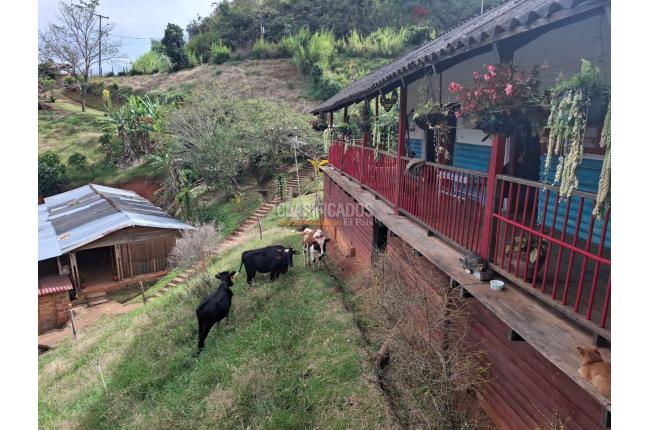 Fincas y Casas Campestres, Venta, La Elvira - $550.000.000